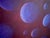Pop Art Paul Brach, Spheres Blue Bolero Pop Art Abstract Oil Painting New York School For Sale - Image 3 of 13