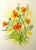 Contemporary Yellow Daffodils, Original Watercolor, Signed For Sale - Image 3 of 9