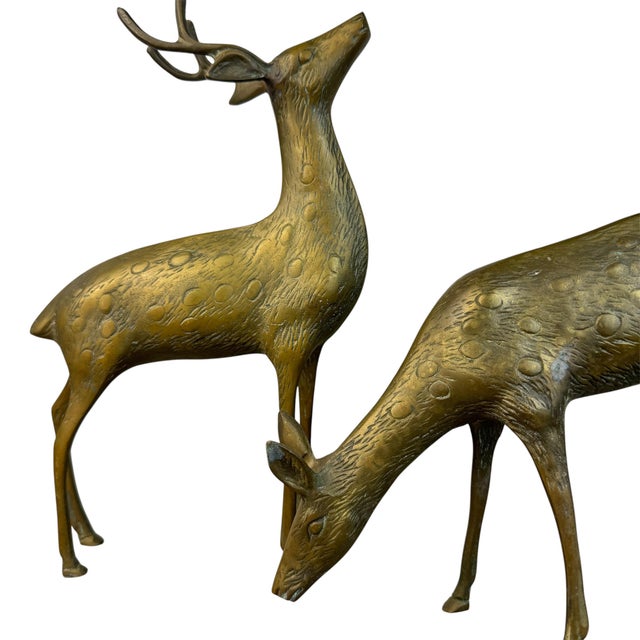 Stunning set of 2 vintage brass deer figurines. This set is larger than many, measuring 12-1/2" & 8" tall & weighing about...