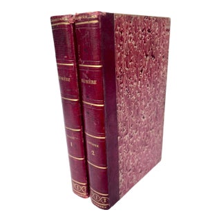 Antique 1843 French Leather Bound Homer Illiad & Odyssey - 2 Volumes For Sale