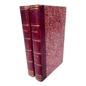 Antique 1843 French Leather Bound Homer Illiad & Odyssey - 2 Volumes