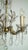 Antique Maria Theresia 5-Light Chandelier from Palwa, 1960s For Sale - Image 11 of 14
