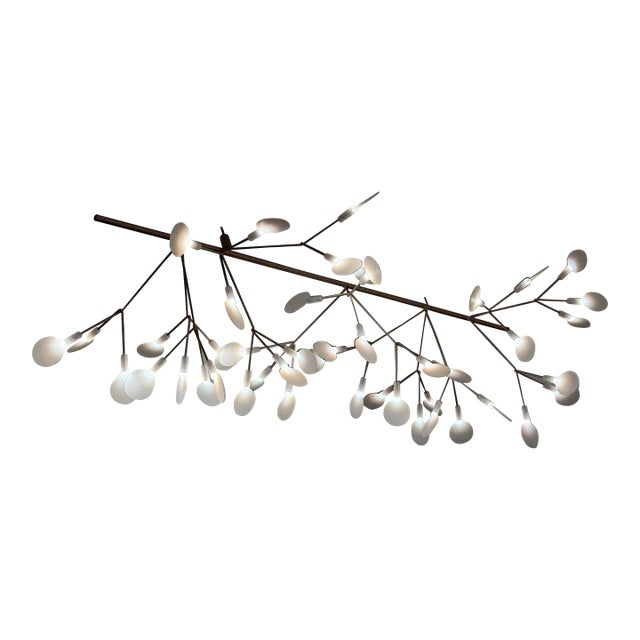 Bertjan Pot for Moooi Heracleum Endless Suspension Lamp For Sale
