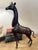 1950s African Bronze Giraffe For Sale - Image 4 of 6