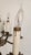 Monumental Brass Figural Maiden 13-Light Candelabrum, Circa 1960s For Sale In New York - Image 6 of 18