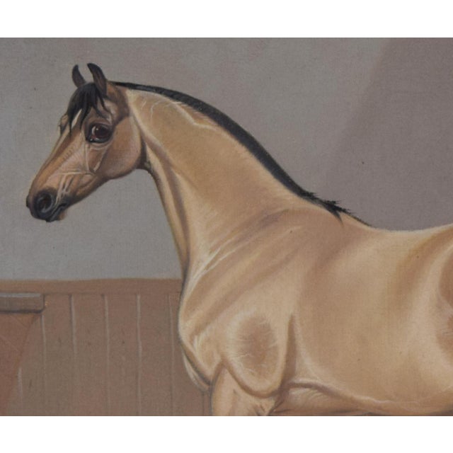 19th Century 19th Century Equestrian Portrait of a Horse in Stall by Colin Greene 1898 For Sale - Image 5 of 6