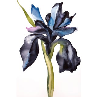 "Iris No. 209" Contemporary Original Botanical Flower Watercolor Painting by Elizabeth Becker For Sale