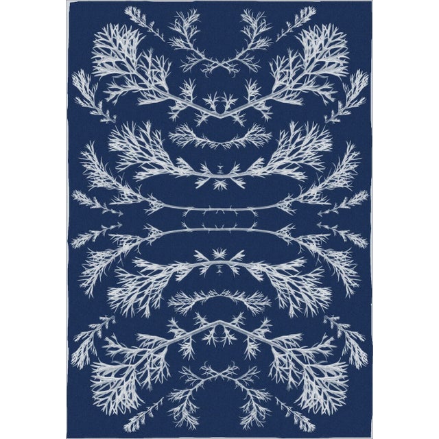 "Vintage Pressed Flowers Nº2" Botanical Composition in Classic Blue, Original Cyanotype on Watercolor Paper 2020, Limited Edition 1/20 For Sale
