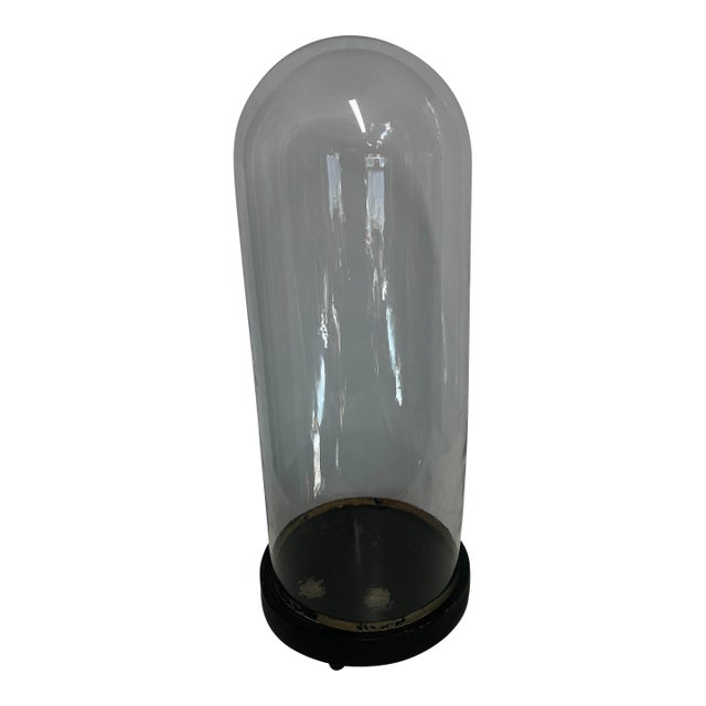 1800’s French Antique 24” Glass Cloche Dome For Sale