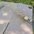 Anco-Bilt Drafting Table (Pre 1956) For Sale - Image 12 of 18