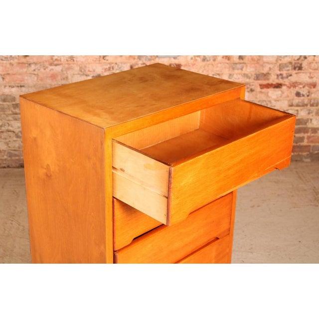 Brown Mid-Century Birch Chest of 6 Drawers, 1960s For Sale - Image 8 of 9
