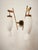 Brass Wall Lamp with Double Opal Glass Light, 1960s For Sale - Image 10 of 14