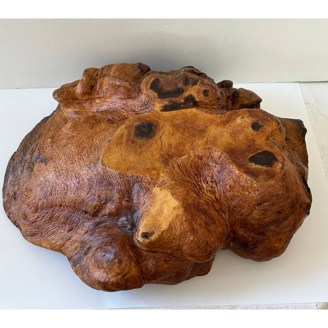 1980s 1980s Mid-Century Modern Frank Treuting Beautiful Large Carved Burl Wood Bowl Fully Signed For Sale - Image 5 of 7