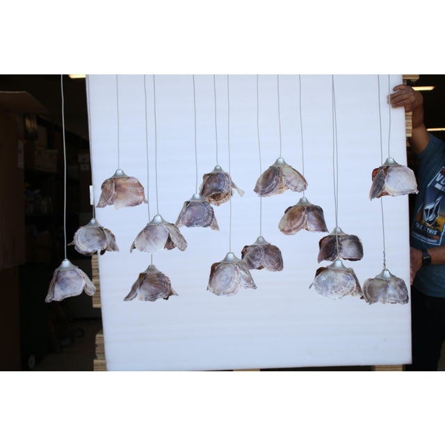 Rose-colored natural Capiz shells have become blossoms to ornament our Catrice Rectangular 15-Light Multi-Drop Pendant....