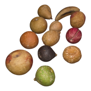 Vintage Stone Fruit Collection