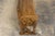 Mid-19th Century French Gothic Revival Oak Church Bench For Sale - Image 12 of 18