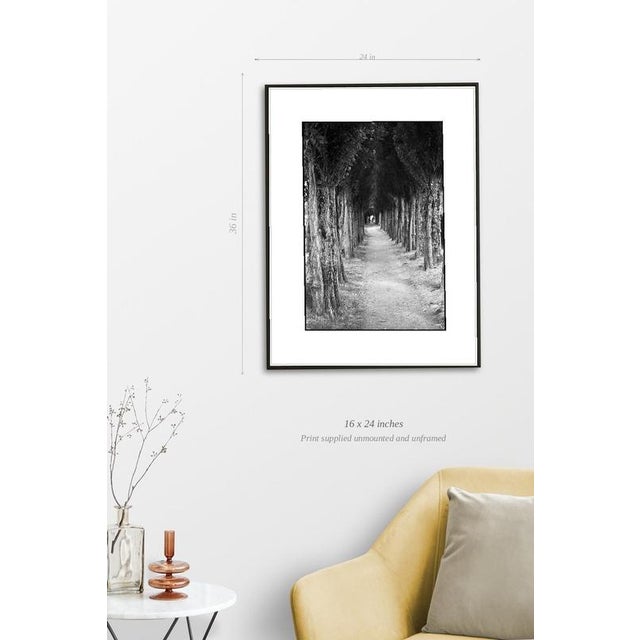 Fine art Giclee prints on Hahnemuhle Photo Rag 308gsm - a 100% cotton, acid-free, mould-made paper. Printed to Fine Art...