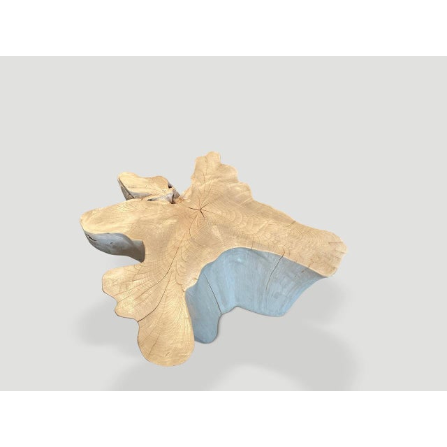 Contemporary Andrianna Shamaris Amorphous Bleached Teak Wood Coffee Table For Sale - Image 3 of 6
