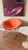 Harry Bertoia 421 Diamond Chairs in Silver Chrome and Peachy Orange Upholstery by Harry Bertoia for Knoll, 1990s, Set of 2 For Sale - Image 4 of 15