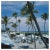 Slim Aarons, Florida Palms, Estate Stamped Photographic Print, 1978 / 2020s For Sale