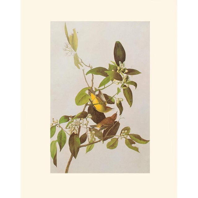 A lovely vintage American Classical, Traditional, Cottage or Farmhouse Style reproduction of the original lithographic...