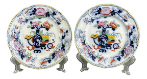 Antique English Porcelain Noma Plates with Hand-Painted Decor from Ridgway, 1850s, Set of 2