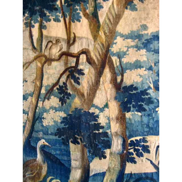 Flemish 18 Century Verdure Three Birds and Thistle Plant For Sale - Image 6 of 18