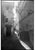 Paul Cooklin, Two Young Children, Fes, Edition of 50 For Sale - Image 7 of 7
