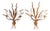 Italian Gilt Metal Wall Sconces with Leaves and Ears of Wheat, 1960s, Set of 2 For Sale