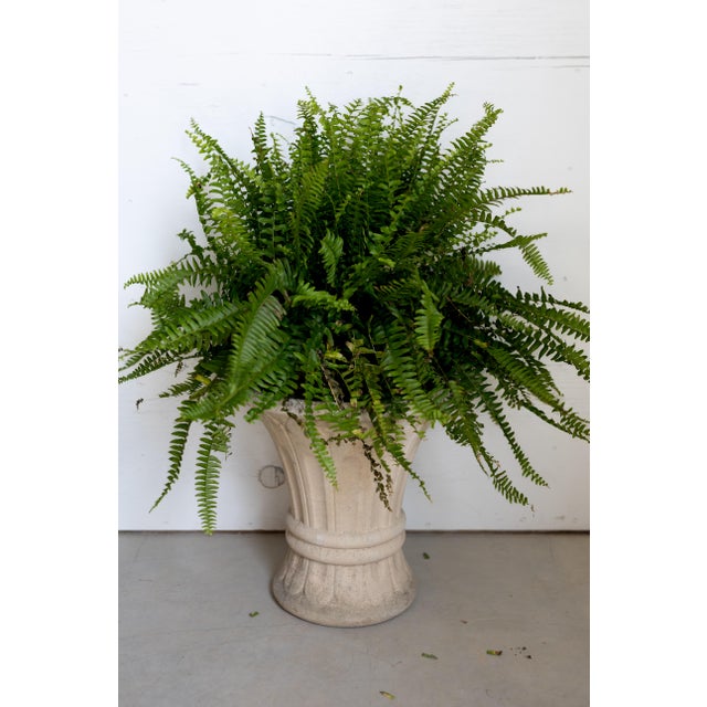 Mid 20th Century Vintage French Fluted Planter For Sale - Image 5 of 8