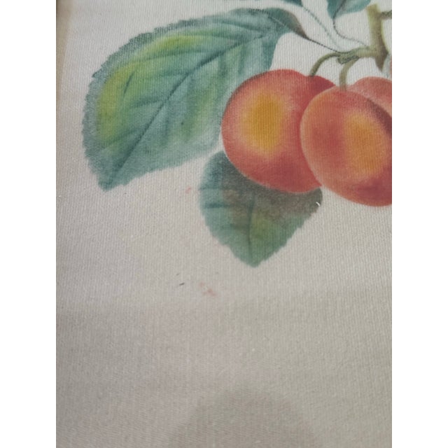 19th-Century American Folk Art Fruit Still Life Theorem Paintings on Velvet - A Matched Pair, Signed Jr For Sale - Image 4 of 12