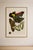 Art Deco Butterflies by E. A. Séguy, Vintage Art Print Reproduction, 24" X 36" For Sale - Image 9 of 13