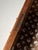 Brown Large 19th Century English Chest of Drawers For Sale - Image 8 of 16