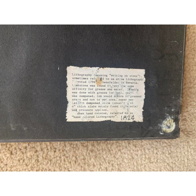 Rhino Framed Wildlife Original Lithograph Print - One of 4 Series For Sale - Image 4 of 9