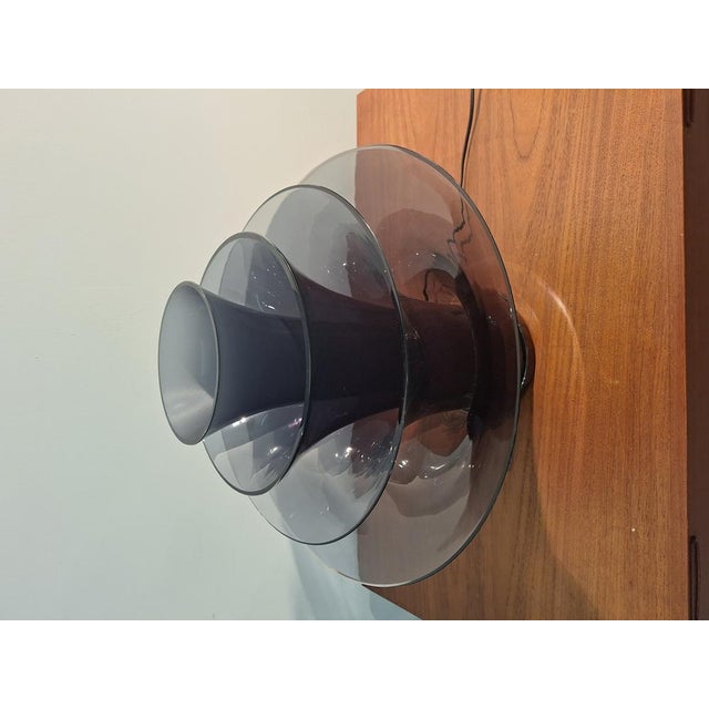 Petal Table Lamp with 4 Fume Glasses and Floral Motifs For Sale - Image 13 of 17