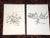 This set of three (3) authentic 18th century copperplate engravings by Joseph Jacob Plenck (Austria/Germany 1735-1807)...