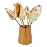 Vintage Conch Shell Seashell Olive Charcuterie Picks With Wood Stand- 13 Pieces For Sale
