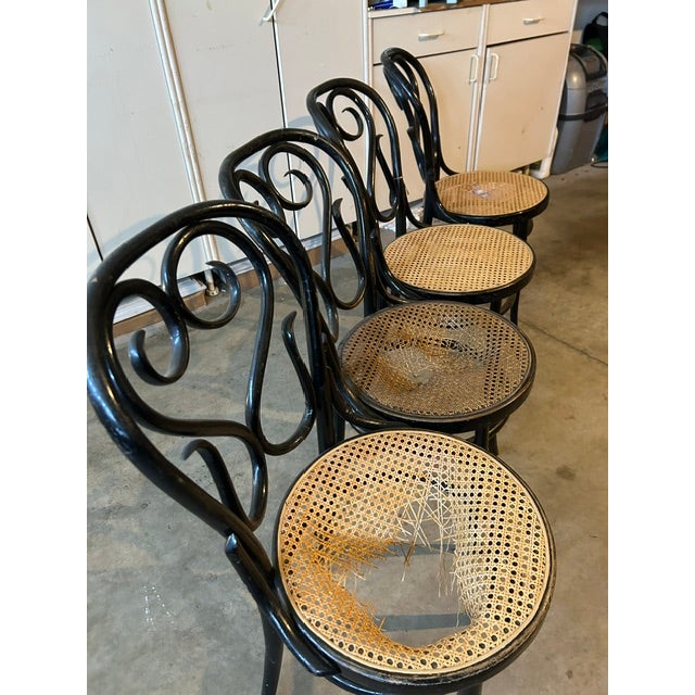 Traditional Vintage Set of 4 Bentwood Café Chairs - Model No. 4 by Sautto & Liberale Naples For Sale - Image 3 of 4