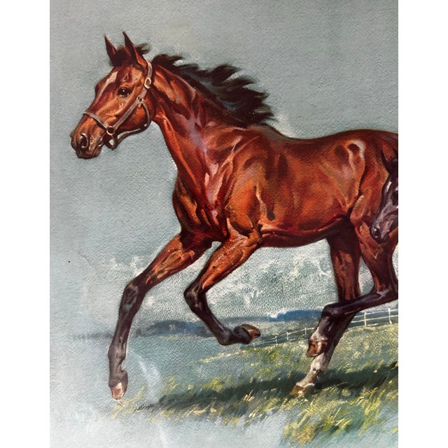 Vintage 1961 Framed Print of a Horse Running With Colt For Sale In Philadelphia - Image 6 of 8