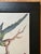 John James Audubon Late 20th Century Framed Print of Parrot Pair With Butterfly by Sarah Stone For Sale - Image 4 of 8
