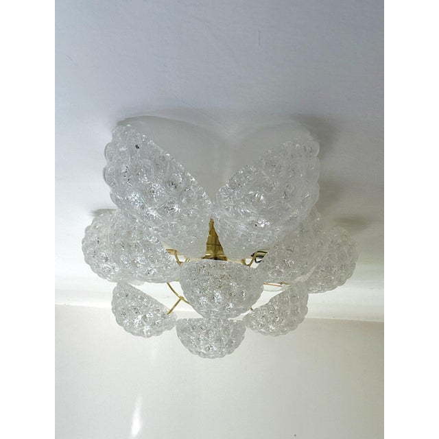 Glass Clear “Conchiglie” Murano Glass Gold Wall Sconce by Simoeng For Sale - Image 7 of 8