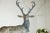 Large Vintage Bronze Stag Sculpture on Rock Base in French Style For Sale - Image 11 of 12