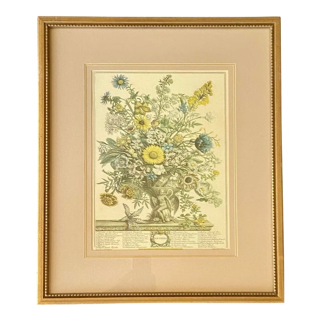 Vintage Robert Furber November Botanical Calendar Print, Framed For Sale