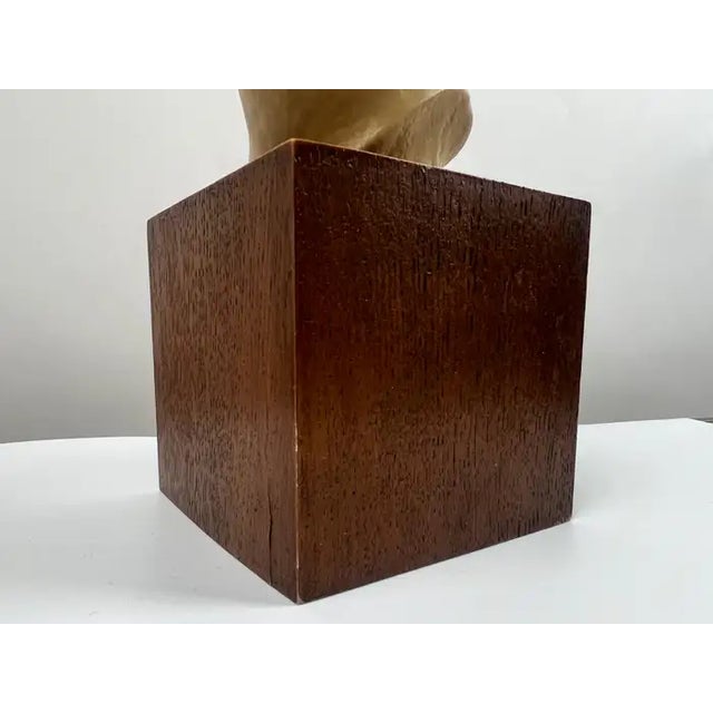 Louvre Museum Reproduction Classical Male Bust, French Plaster Sculpture on Wood 1990's For Sale - Image 14 of 17