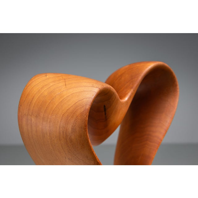 Unknown, Abstract Sculpture with Organic Flowing Curves, 1960s, Teak For Sale - Image 13 of 18