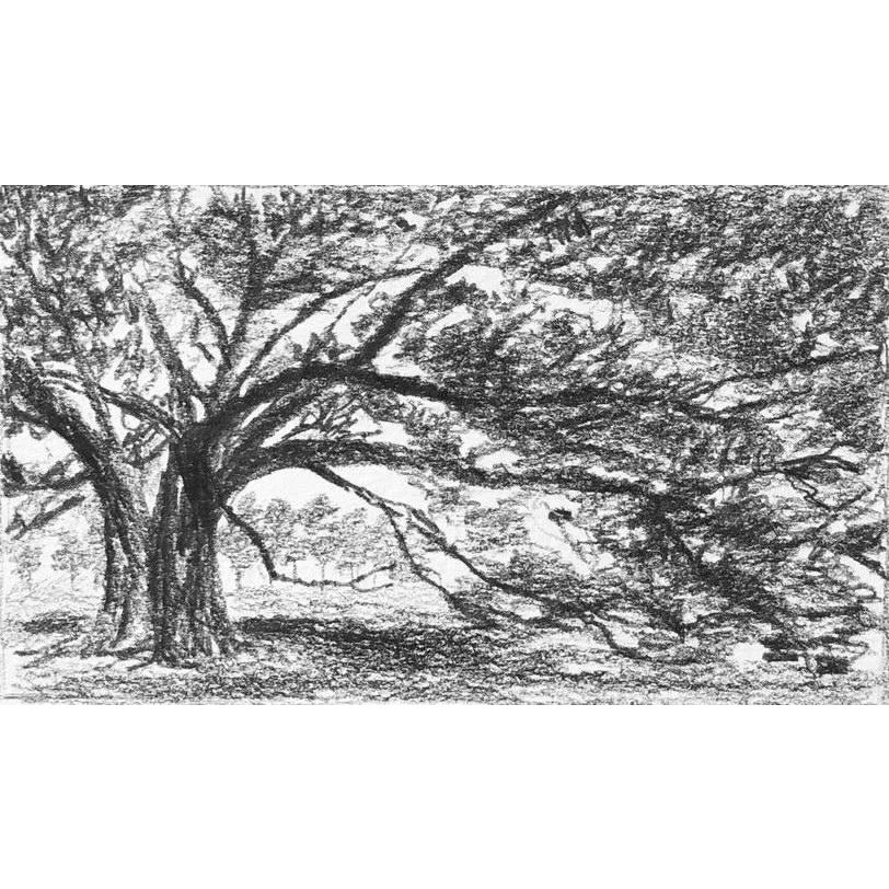 "Print Collection: Landscape Study" Contemporary Original Black and ...
