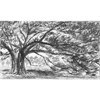 "Print Collection: Landscape Study" Contemporary Original Black and White Landscape Print on Paper For Sale