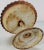 Small Rustic Cast Iron Birdbath For Sale - Image 4 of 9