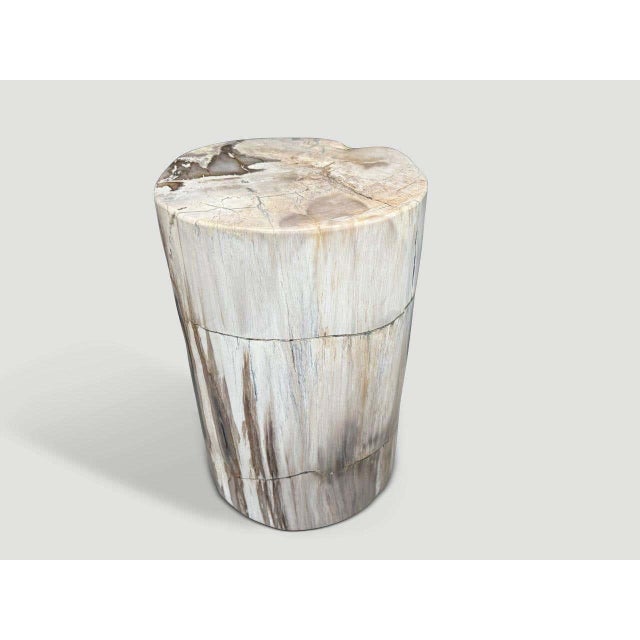 Andrianna Shamaris Ancient Petrified Wood Side Table For Sale - Image 4 of 5