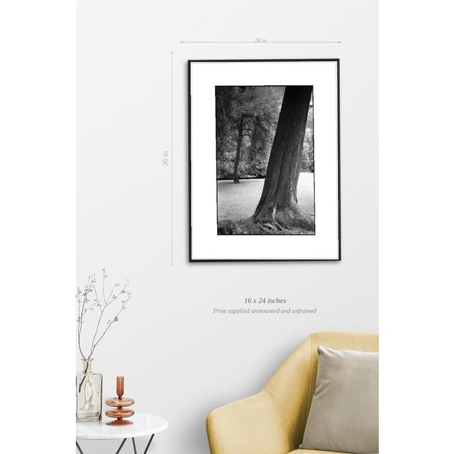 Fine art Giclee prints on Hahnemuhle Photo Rag 308gsm - a 100% cotton, acid-free, mould-made paper. Printed to Fine Art...